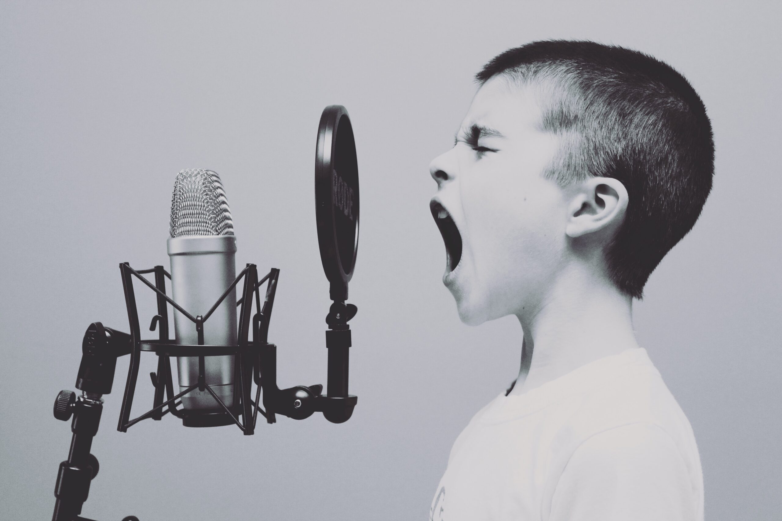 voice search seo