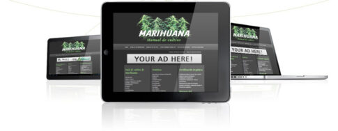 Cannacliks Affiliate Department Contact